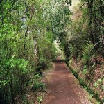 dovolena 2024 - Madeira