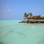 dovolena 2024 - Zanzibar